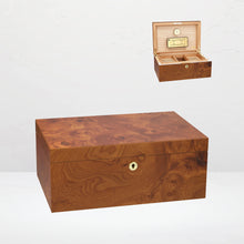Adorini Humidor Ulme Specially Selected Grande - 31