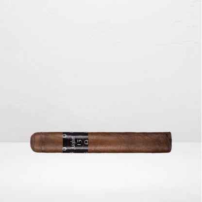 Asylum 13 Toro Gordo