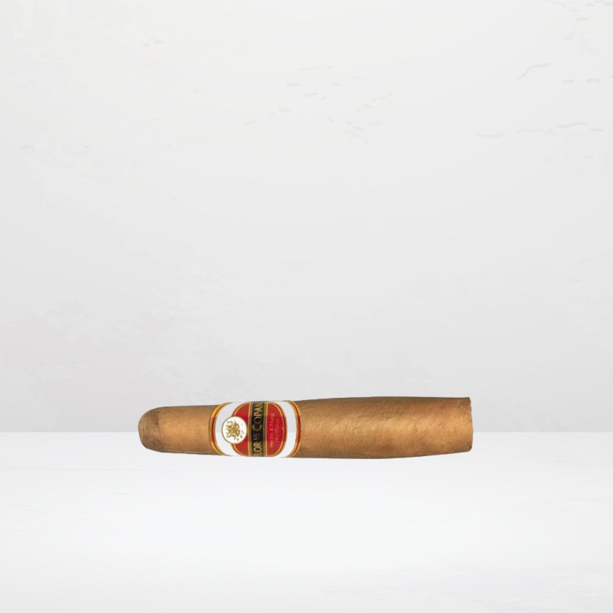 Flor de Copan Classic Torbusto