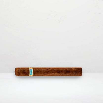 Matilde Special Edition 2024 Toro