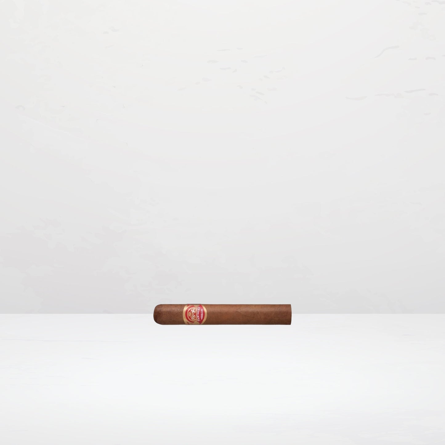 Partagas Shorts