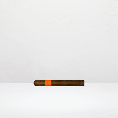 Patoro Serie P Demi