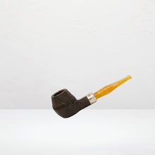 Peterson's Sandblasted Brown Rhodesian