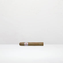 Vega Fina Robusto