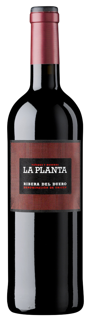 Arzuaga La Planta