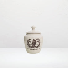 Savinelli Tabacco Jar Tobago - Indian